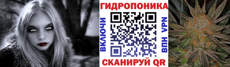 ГАШИШ Кострома