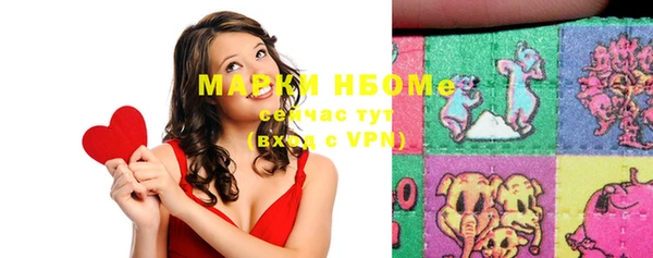 хмурый Нея