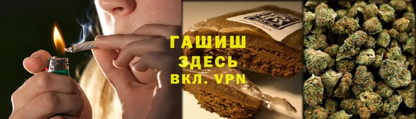 ПСИЛОЦИБИНОВЫЕ ГРИБЫ Тайга