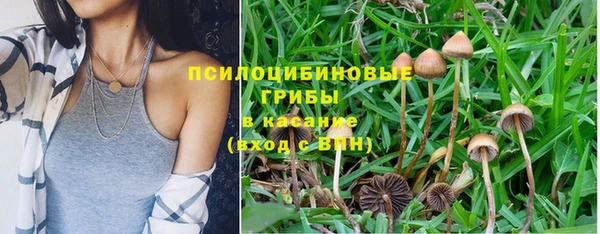 хмурый Нея