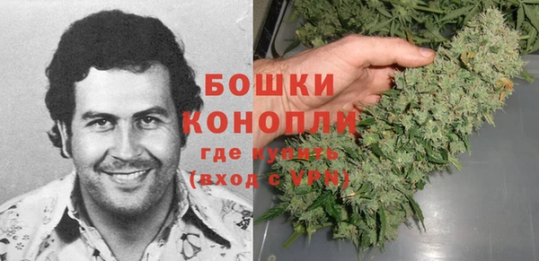 хмурый Нея