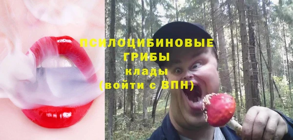 a pvp Семилуки