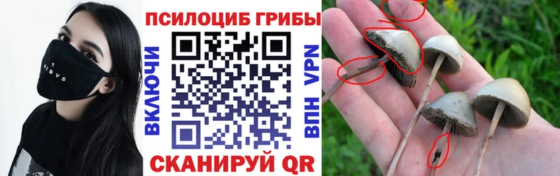 Галлюциногенные грибы MAGIC MUSHROOMS мега ссылки Кострома