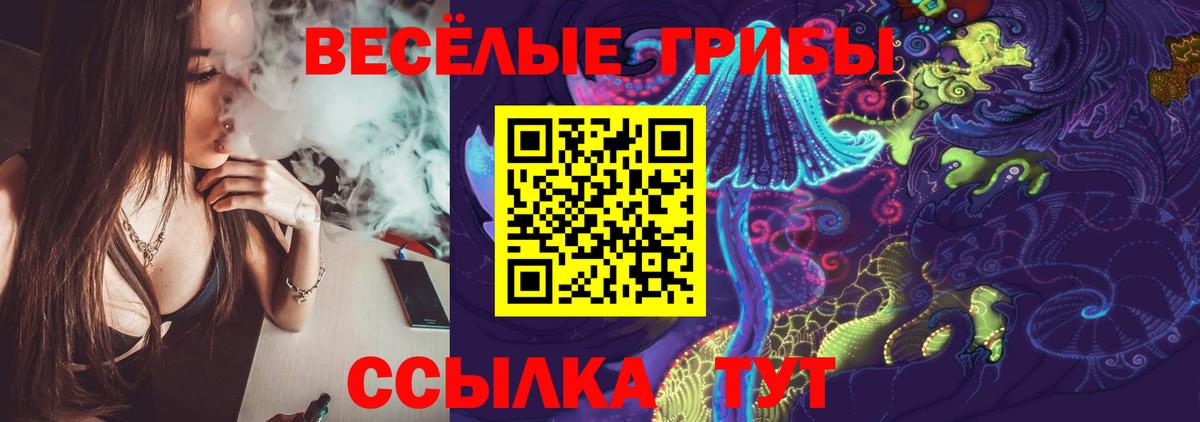 Галлюциногенные грибы Psilocybe Кострома