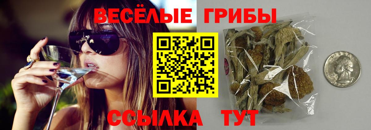 Кострома  Псилоцибиновые грибы MAGIC MUSHROOMS  купить  сайты  Галлюциногенные грибы Magic Shrooms  Вход с VPN 