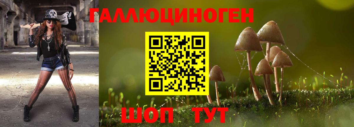 Галлюциногенные грибы Psilocybe  Кострома  магазин  наркотиков  Галлюциногенные грибы прущие грибы 