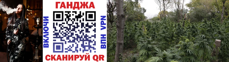 дарк нет Telegram  Кострома  Конопля SATIVA & INDICA 